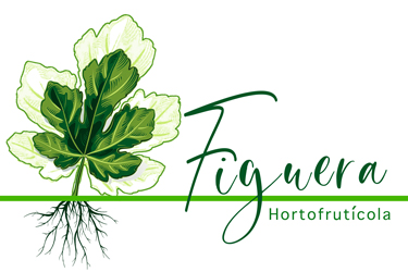 Figuera Hortofrutícola